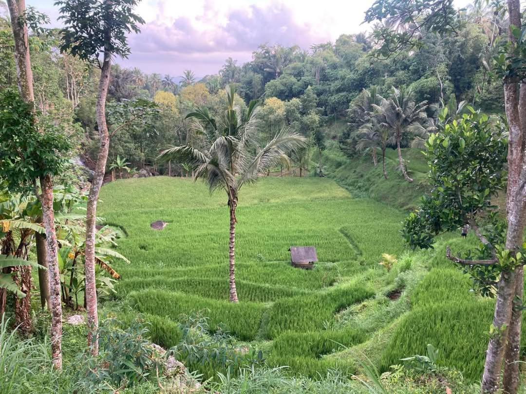 Satu Lingkung Hotel เตเตบาตู ภายนอก รูปภาพ