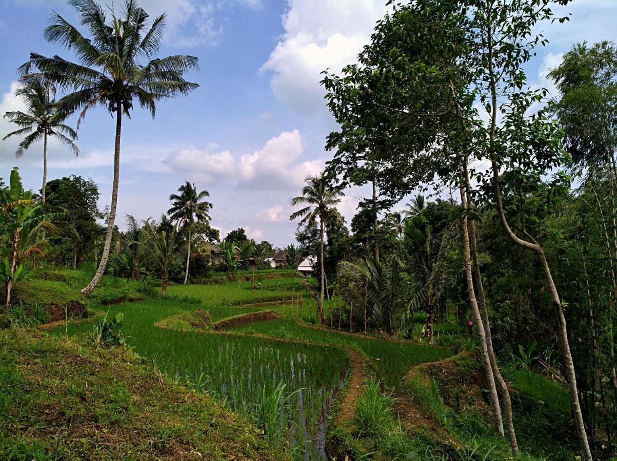 Satu Lingkung Hotel เตเตบาตู ภายนอก รูปภาพ